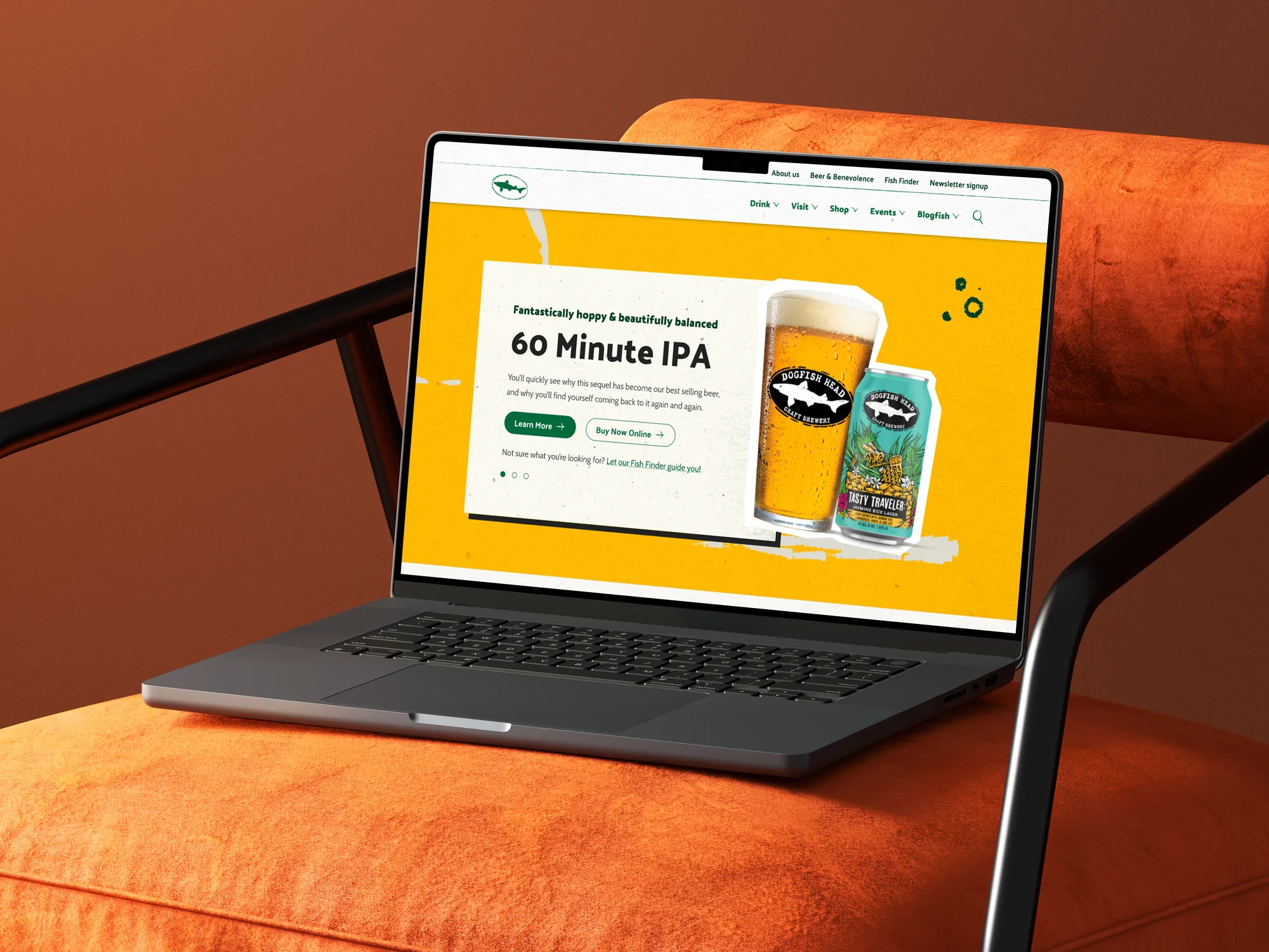 Dogfish Head campaign screen